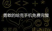 勇敢的哈克手机免费完整版