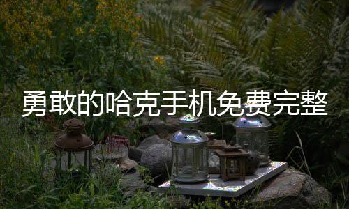 勇敢的哈克手机免费完整版下载
