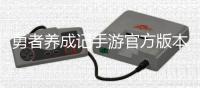 勇者养成记手游官方版本