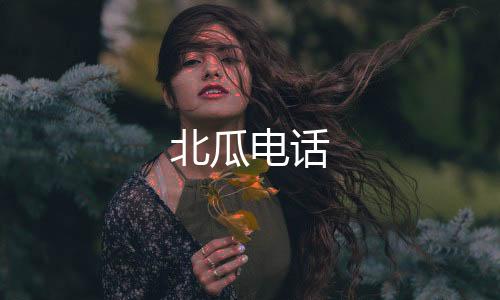 北瓜电话下载