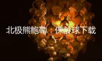 北极熊鲍勒：保龄球下载