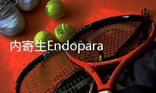 内寄生Endoparasitic手机版下载