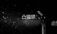 凸猫頭
