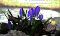 净化下载