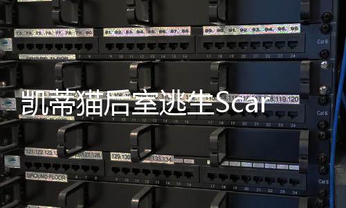 凯蒂猫后室逃生Scary Kitty Escape中文版最新版下载
