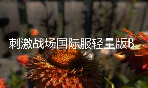 刺激战场国际服轻量版BETA PUBG MOBILE LITE下载