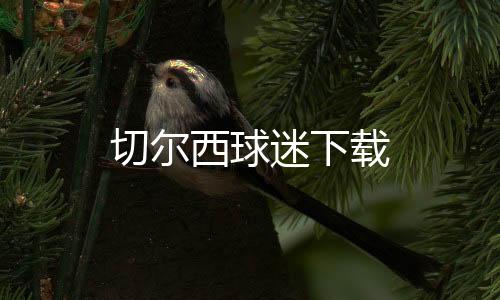 切尔西球迷下载下载