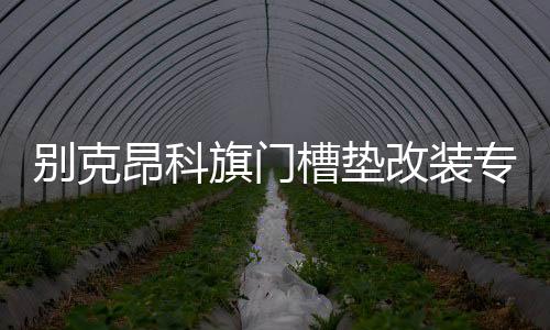 别克昂科旗门槽垫改装专用内饰装饰汽车用品配件22款2022杯垫饰品下载