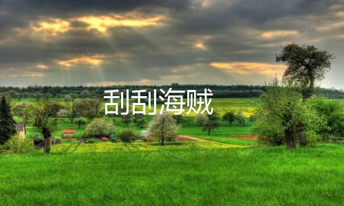 刮刮海贼下载