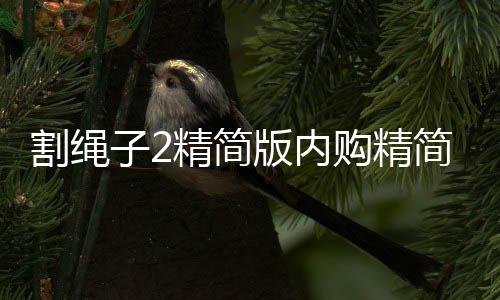 割绳子2精简版内购精简版下载