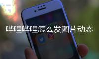 哔哩哔哩怎么发图片动态？哔哩哔哩发图片动态教程