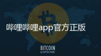 哔哩哔哩app官方正版 7.17.0