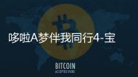 哆啦A梦伴我同行4-宝软3D主题