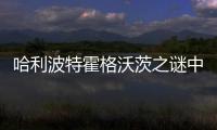 哈利波特霍格沃茨之谜中文版