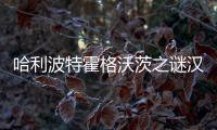 哈利波特霍格沃茨之谜汉化破解版