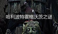哈利波特霍格沃茨之谜