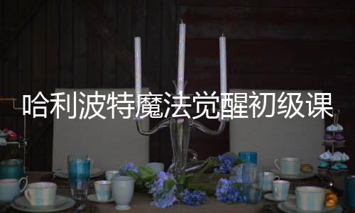 哈利波特魔法觉醒初级课堂怎么变高级 课堂玩法攻略下载