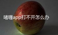 啫喱app打不开怎么办