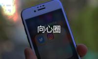 向心圈