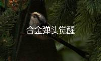 合金弹头觉醒
