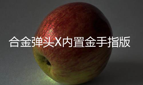 合金弹头X内置金手指版下载