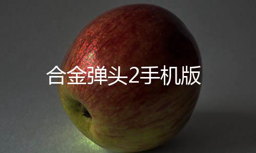 合金弹头2手机版下载