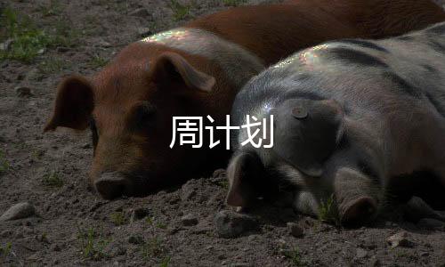 周计划下载
