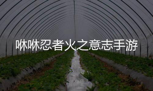 咻咻忍者火之意志手游下载