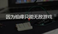 因为怕疼只能无敌游戏