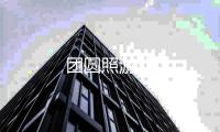 团圆照游戏