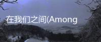 在我们之间(Among Us)游戏中文版