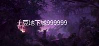 土豆地下城999999钻999999金币版