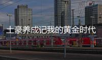 土豪养成记我的黄金时代破解版无限金币