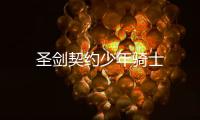 圣剑契约少年骑士
