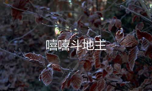 嘻嘻斗地主下载
