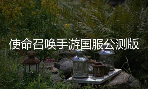 使命召唤手游国服公测版下载
