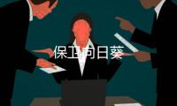 保卫向日葵