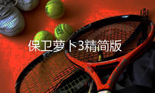 保卫萝卜3精简版下载