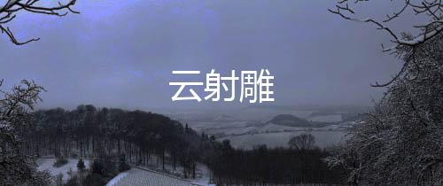 云射雕下载