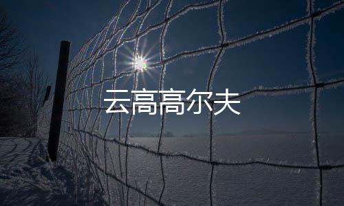 云高高尔夫下载