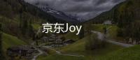 京东Joy