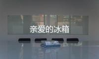 亲爱的冰箱