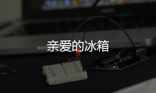 亲爱的冰箱下载