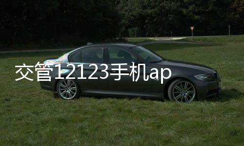 交管12123手机app下载