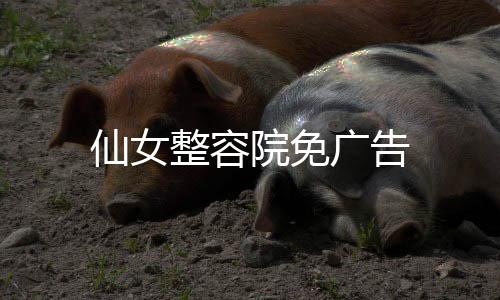 仙女整容院免广告下载