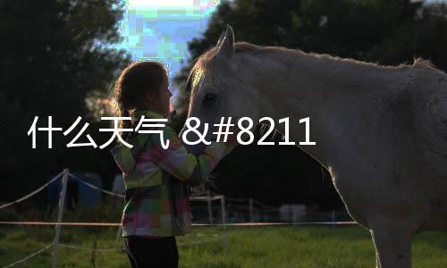 什么天气 – Widget小组件下载