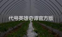 代号英雄奇谭官方版