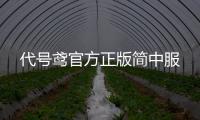 代号鸢官方正版简中服