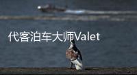 代客泊车大师Valet Parking Master最新版