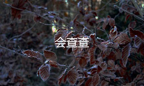 会查查下载